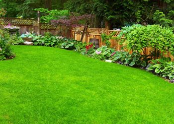 All gardening and landscaping work covered including tailor made ideas for Torquay Gardens